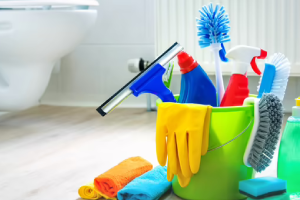 Messie Reinigung Wolfenbüttel